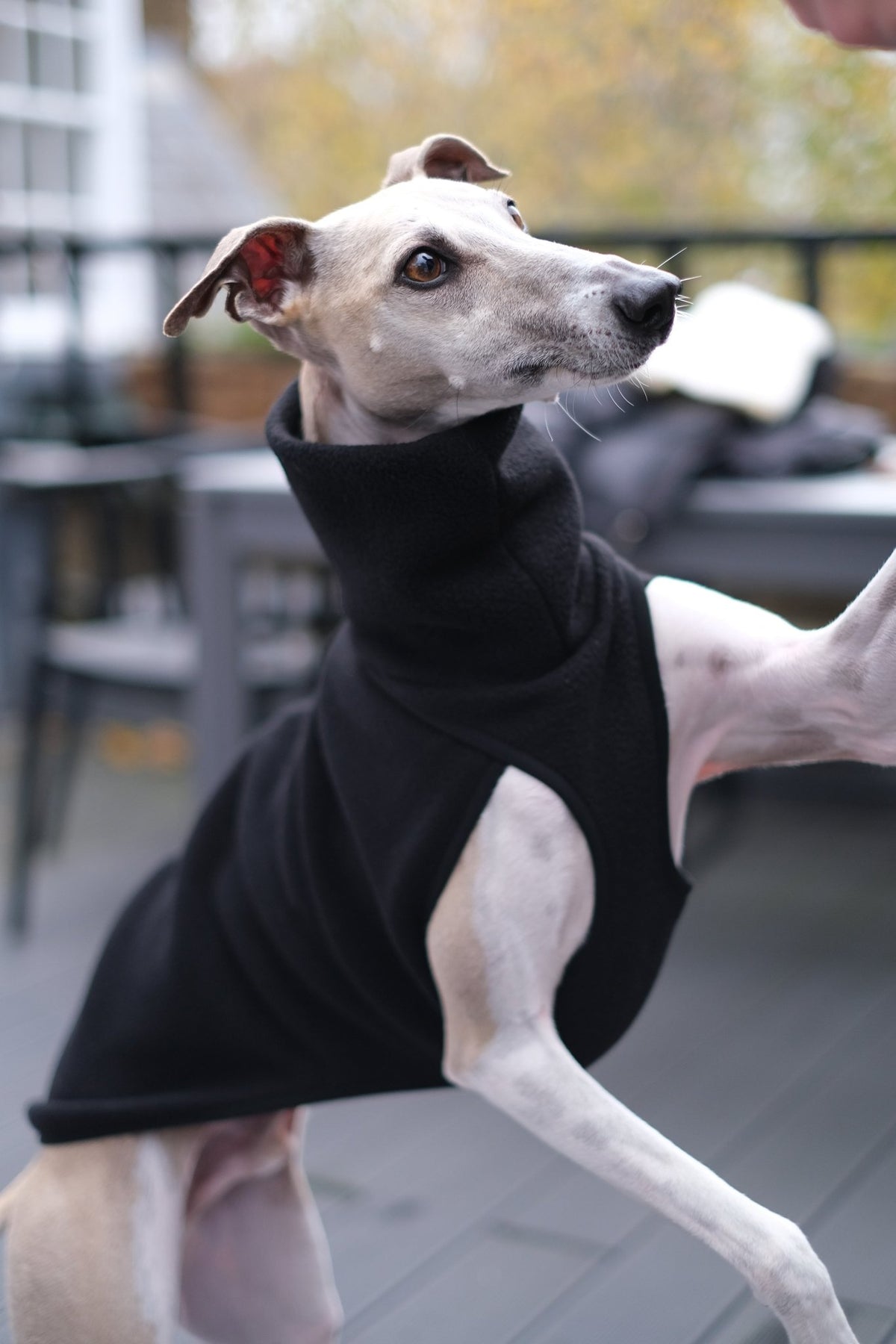 Whippet turtleneck best sale