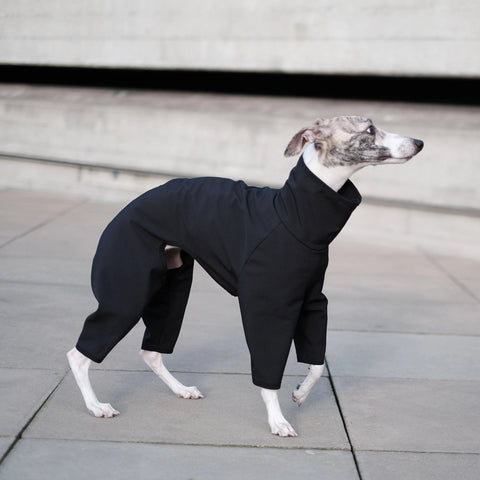 100% waterproof whippet raincoat