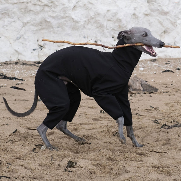 all in one whippet raincoat