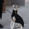 black sleepless whippet jumper 