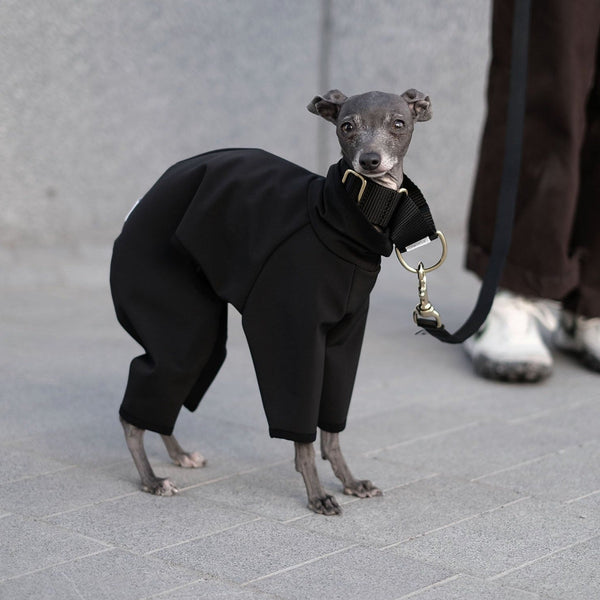 Italian Greyhound Waterproof Onesie - Søren - Occam