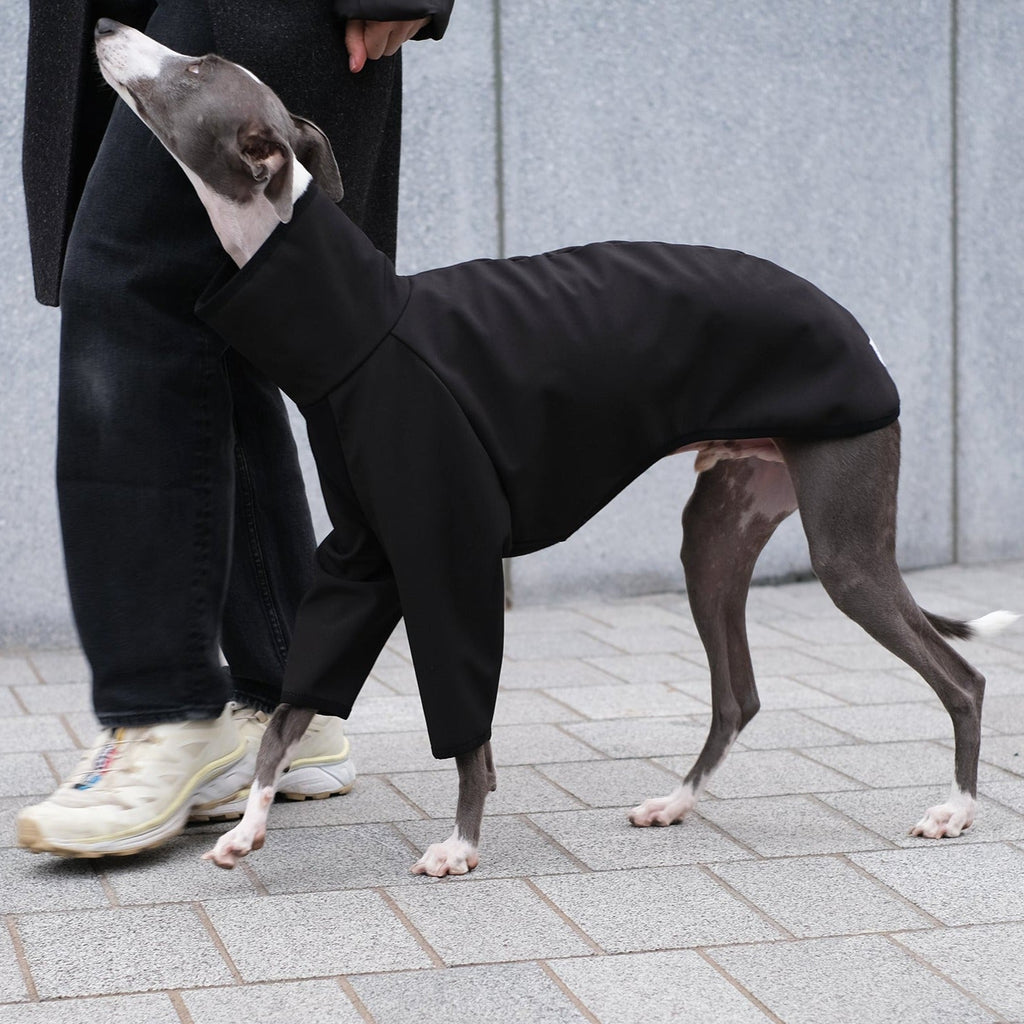 Waterproof Whippet Coat in black