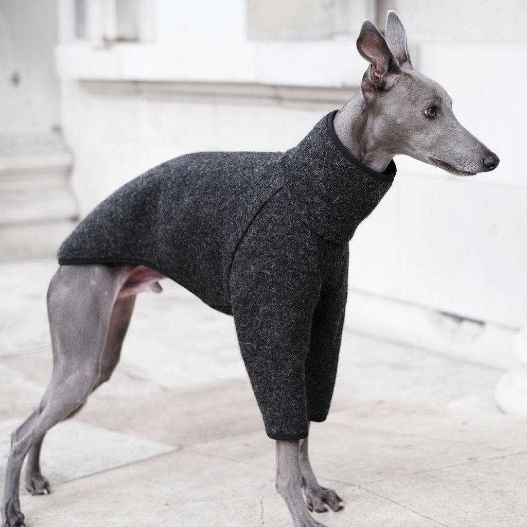 Wool Whippet Coats - Quinn - Occam