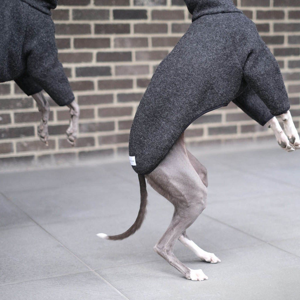 Wool Whippet Coats - Quinn - Occam