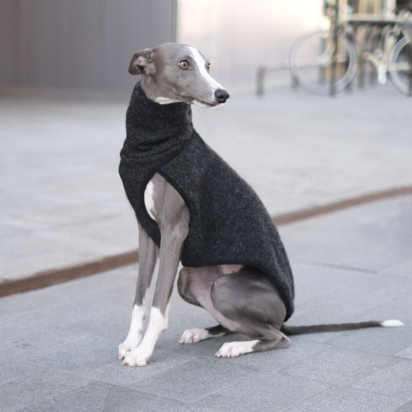 Wool Whippet Coats by Occam