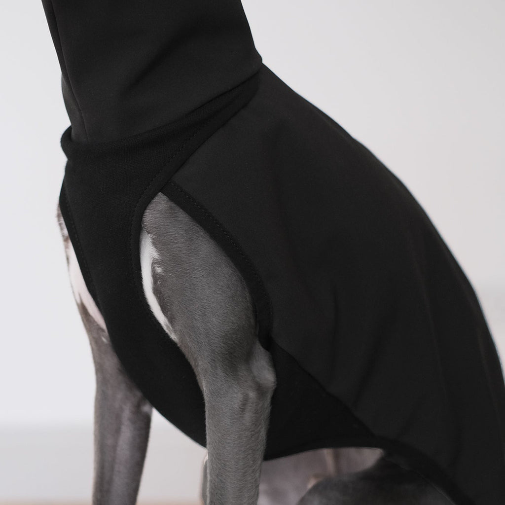 waterproof coat for a whippet