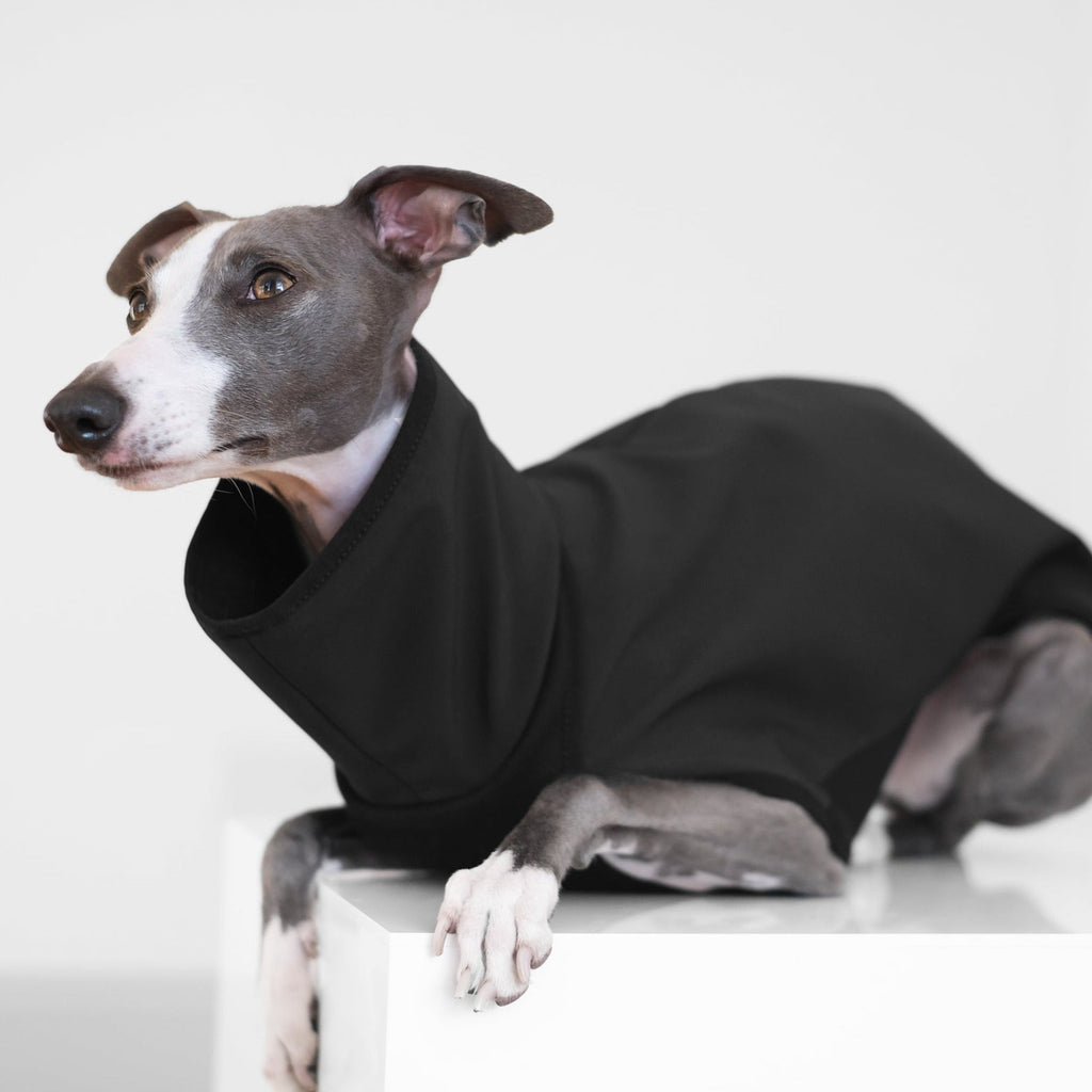 Whippet Waterproof Coat - Kipper - Occam