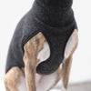 close up of a wool whippet coat